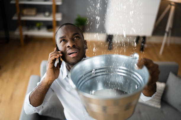 Best Water damage restoration near me  in West Yellowstone, MT