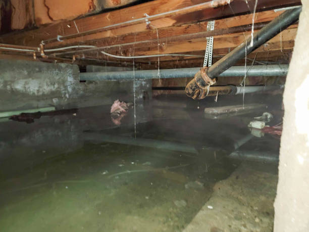 Professional Water damage restoration in MT