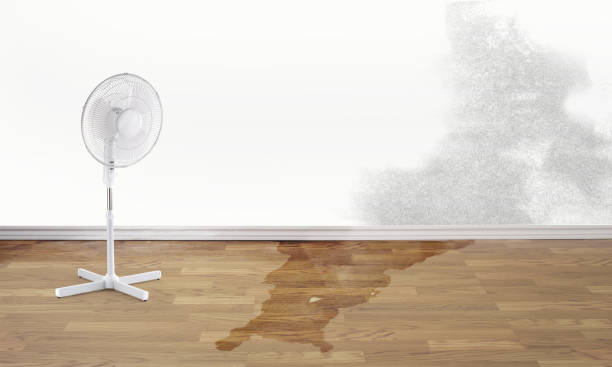 Best Commercial water damage restoration  in West Yellowstone, MT