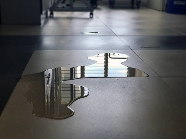 Best Water damage restoration insurance claims  in West Yellowstone, MT