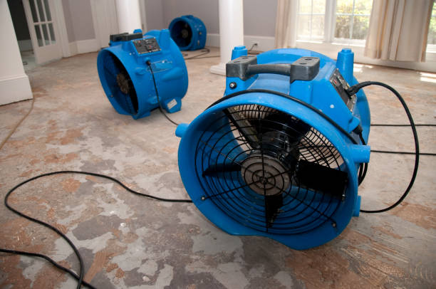 Best Fire Damage Restoration  in West Yellowstone, MT