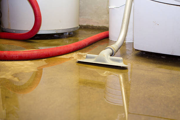 Best Water damage restoration process  in West Yellowstone, MT