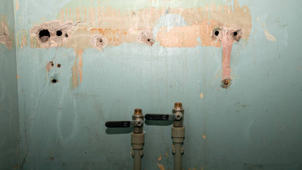 Best Flooded house restoration  in West Yellowstone, MT