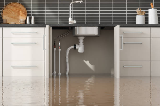 Best Carpet water damage restoration  in West Yellowstone, MT
