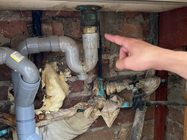 Best Ceiling water damage repair  in West Yellowstone, MT