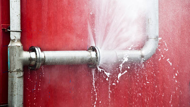 Best Ceiling water damage repair  in West Yellowstone, MT